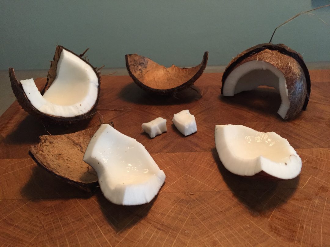 Wereldwijd onderwerp Ongeschikt Hoe maak je een kokosnoot open? In 4 makkelijke stappen uitgelegd!