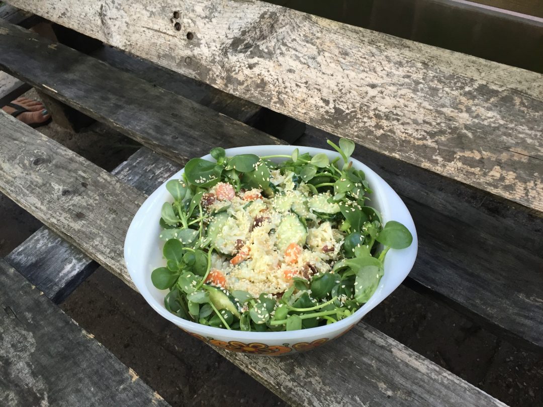 Frisse salade van koolrabi en zomerpostelein. Een heerlijke gezonde, makkelijke en snelle salade. Geschikt als lunch of bij je avondmaaltijd.