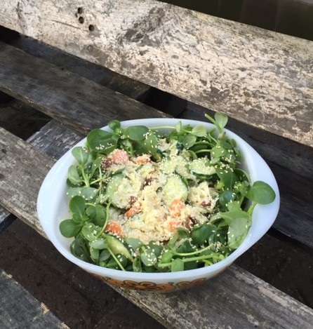 Frisse salade met koolrabi en zomerpostelein