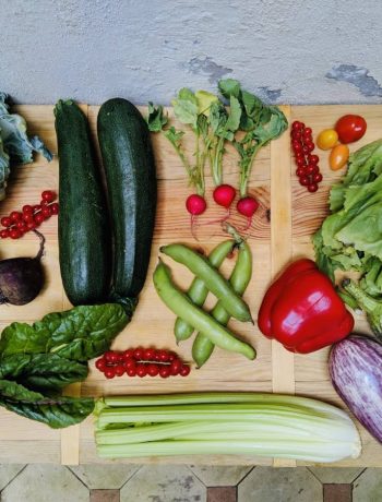 De seizoensgroenten van juli met bijpassende recepten. Veelal vegetarisch en sommige ook veganistisch. Zowel hoofdgerechten, als bijgerechten, soepen, salades en taarten. Voor elke gelegenheid en elk moment.